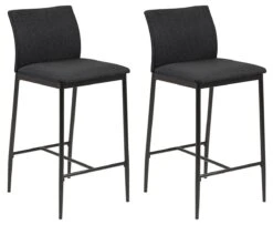 Set Van 2 Barstoelen Demina 89764